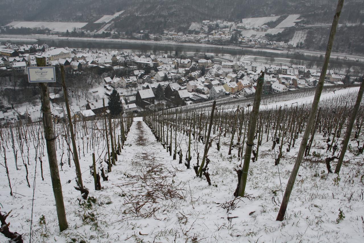 Weingut Stiftshof Hotel Енкирх Екстериор снимка